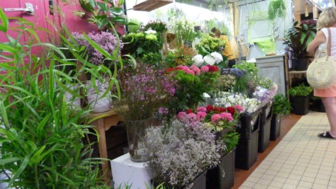 halles_narbonne_fleuriste_chez_rolande_fleurs_artisan-23