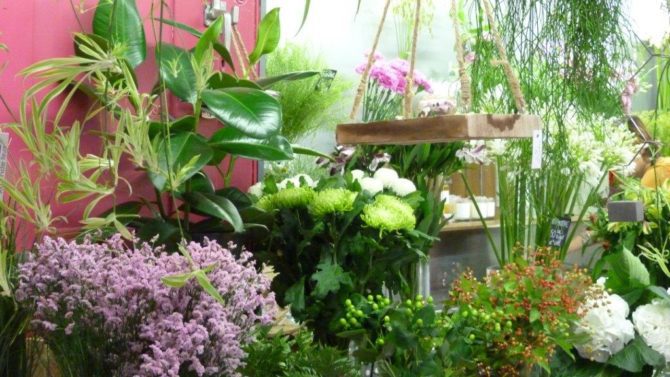 halles_narbonne_fleuriste_chez_rolande_fleurs_artisan-25