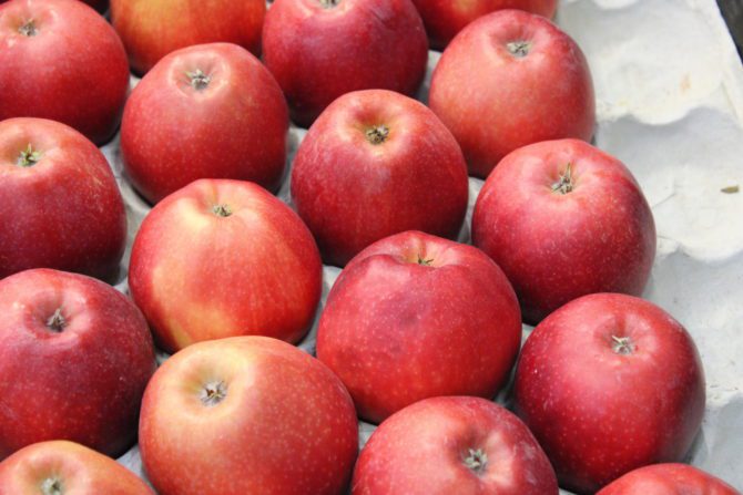 Pomme
