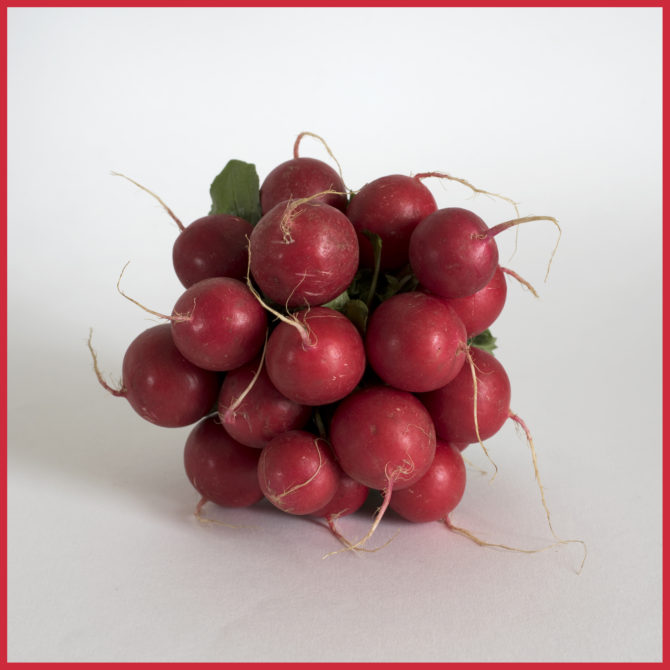 rouges et ronds les jolis radis