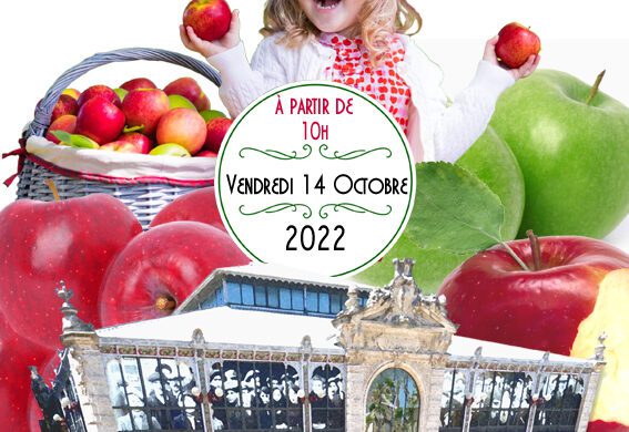Croque la Pomme aux Halles de Narbonne  !