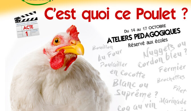 C’est qui ce Poulet ? aux Halles de Narbonne