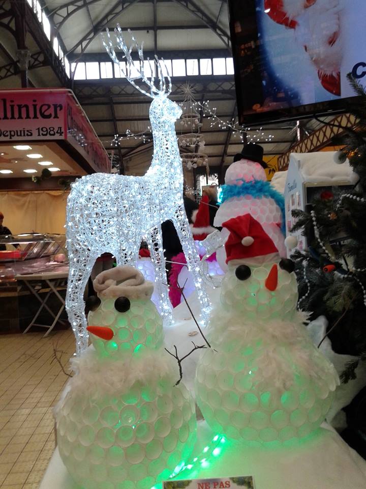 decor_noel_halles_narbonne_noel_tout_en_blanc_4_2015